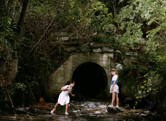 Jeff Wall. Photographs