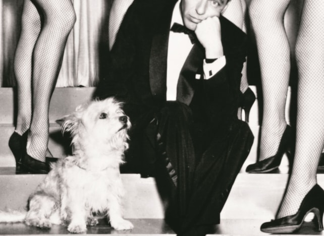 12 © Columbia Pictures_Getty Images