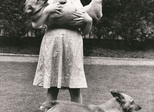 © Lisa Sheridan_Studio Lisa_Hulton Archive_Getty Images