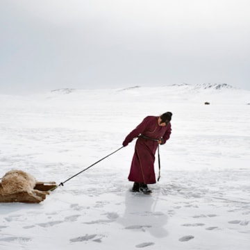 2014. Alessandro Grassani, Environmental Migrants: the last illusion.