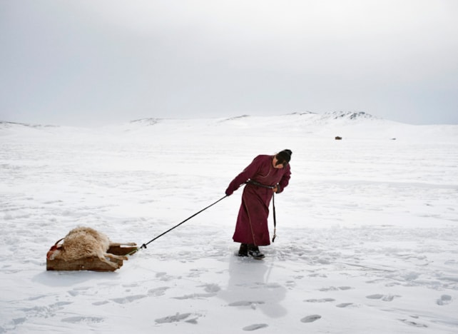 2014. Alessandro Grassani, Environmental Migrants: the last illusion.