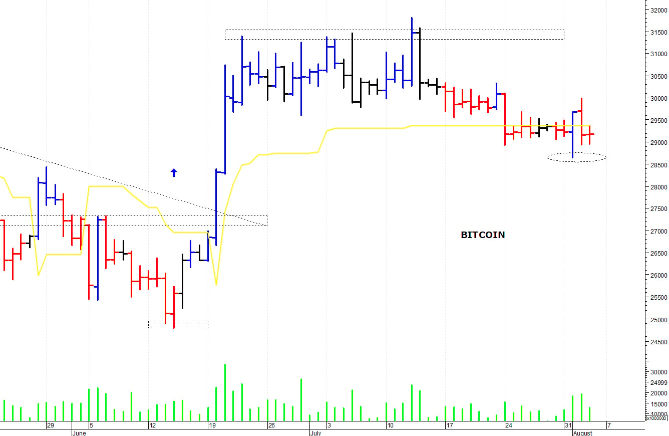 Bitcoin ($): pericolosa una discesa sotto i 28.500$