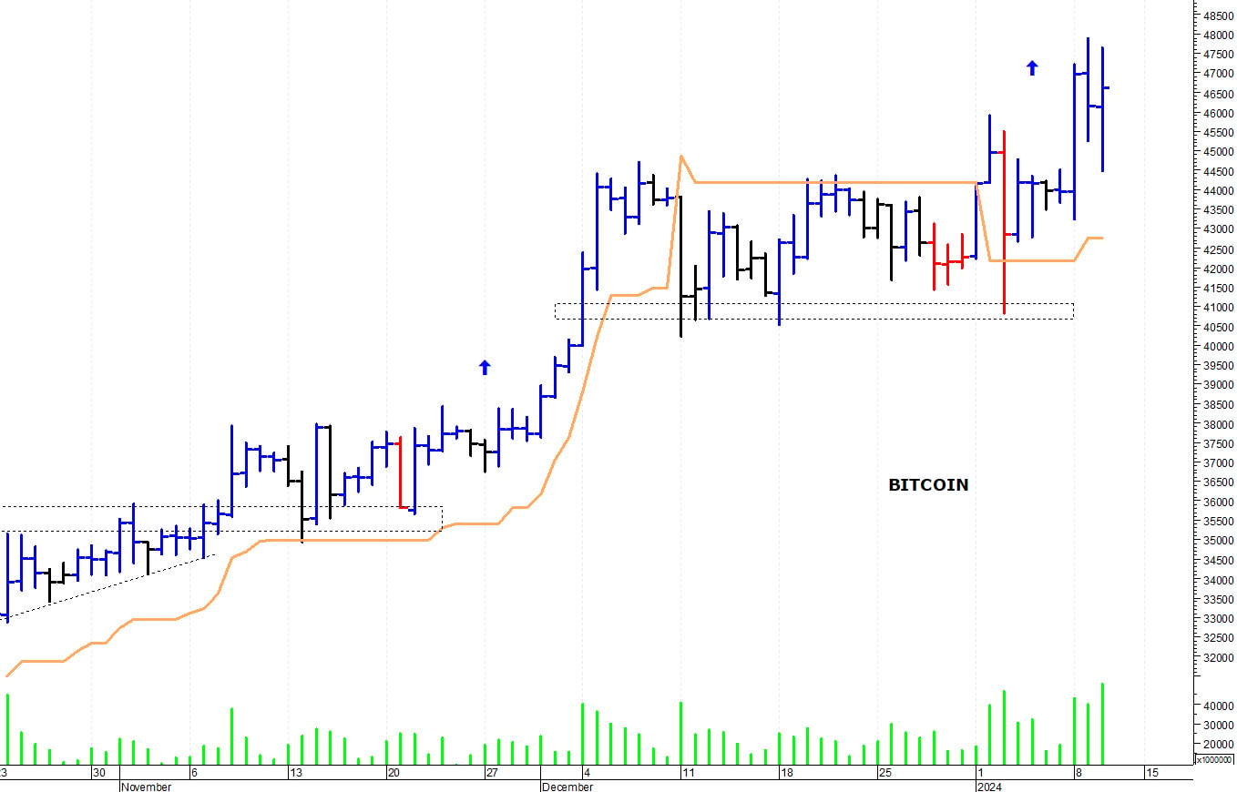 Bitcoin ($): nuovo picco intraday a 49.000$