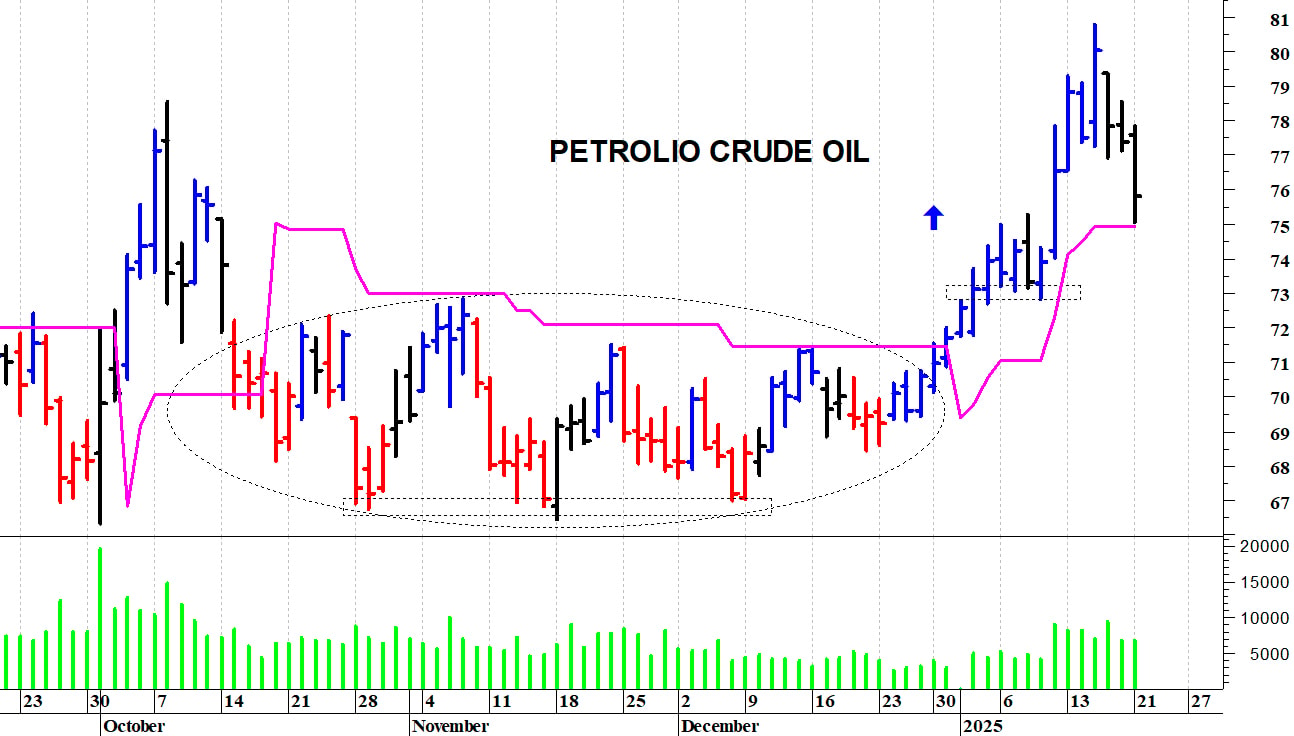 Petrolio: una rapida correzione