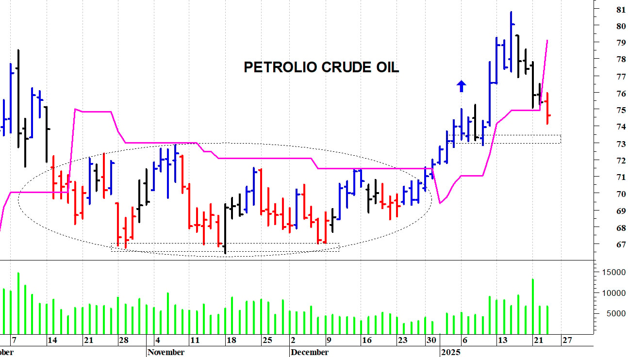Petrolio: valido supporto in area 73,20-73 dollari