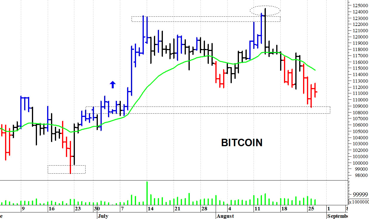 Bitcoin ($): pericolosa una discesa sotto i 108.000$