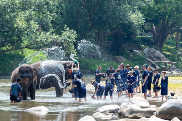 Chiang Mai, il bagno degli elefanti