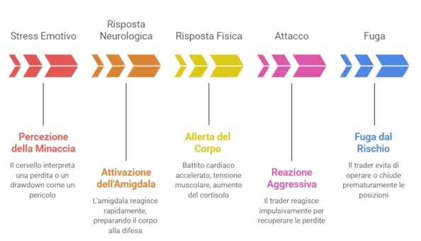 La reazione attacco o fuga