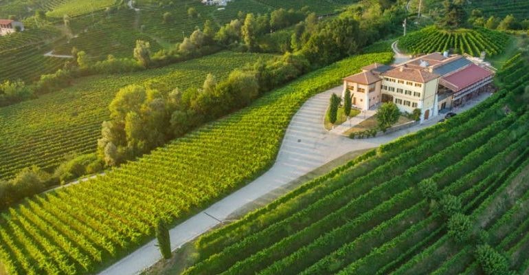 Masi Agricola, ricavi terzo trimestre a 45,6 milioni di euro