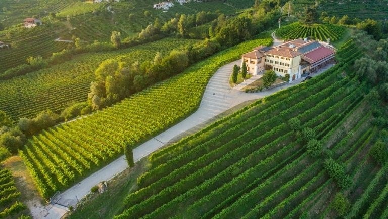 Masi, cda delibera di portare al nuovo esercizio l'utile di 5,2 milioni