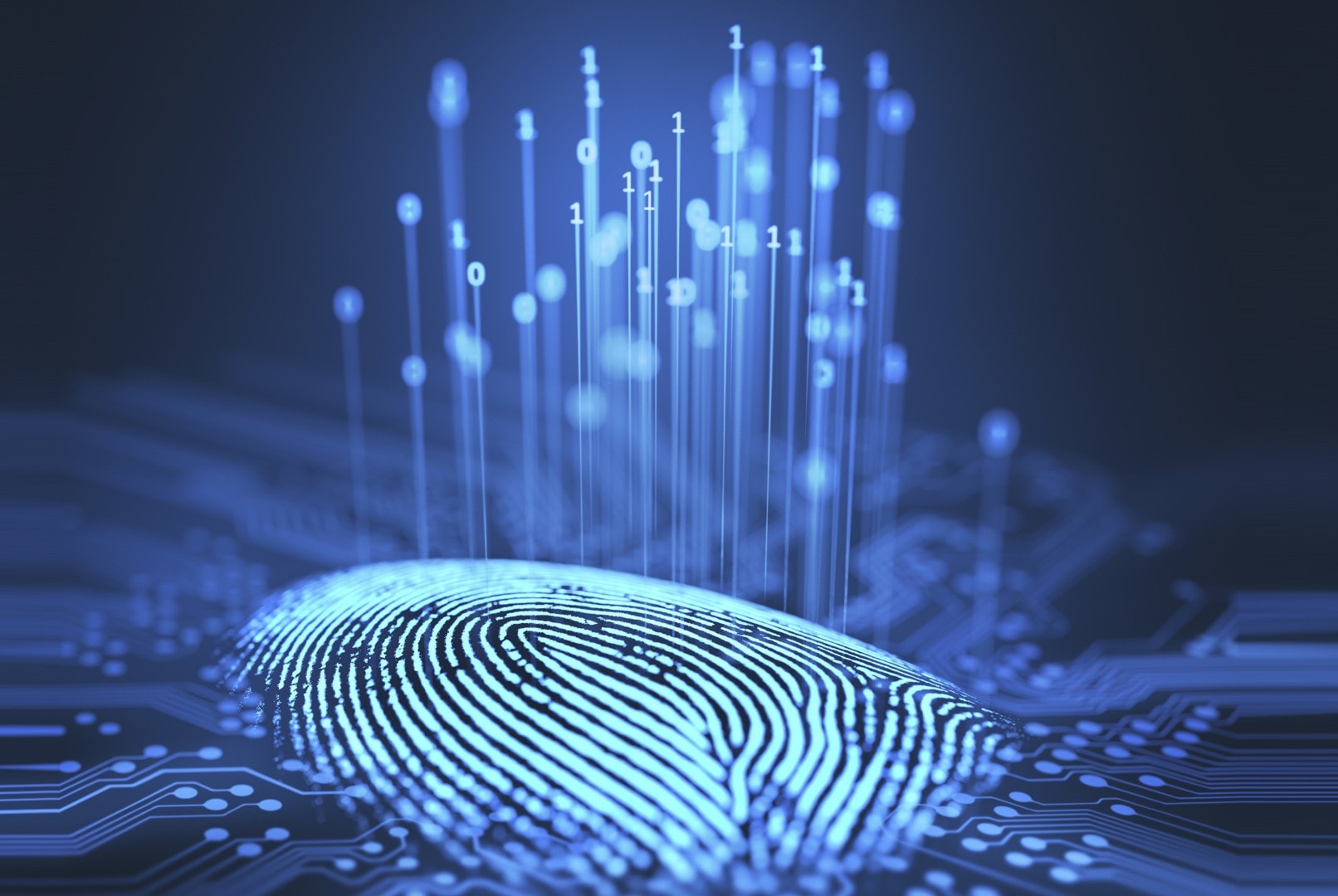 Cy4Gate, contratto da potenziali 5 milioni con operatore istituzionale nella cybersecurity
