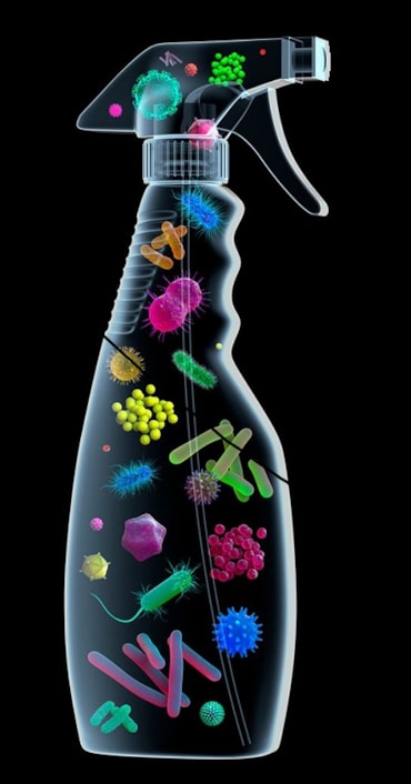 La vita odierna senza microbi può essere pericolosa?