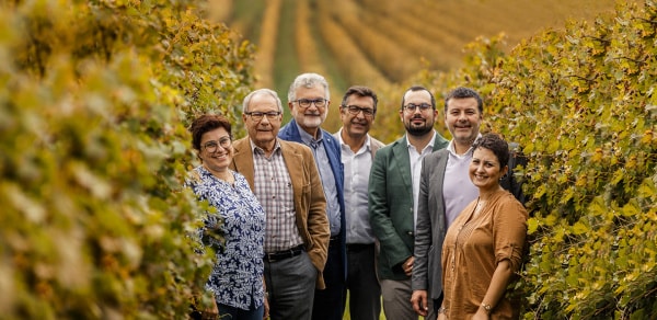 Masi Agricola, cda approva obbligazione da 12 milioni