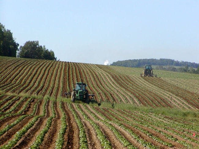 Attenzione ai titoli del settore agricolo