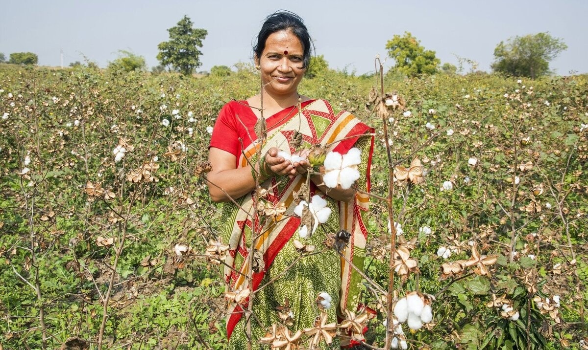 Un'immagine di Oca-Organic cotton accelerator, tra i beneficiari del progetto Regenerative fund for nature di Kering (courtesy, organiccottonaccelerator.org)