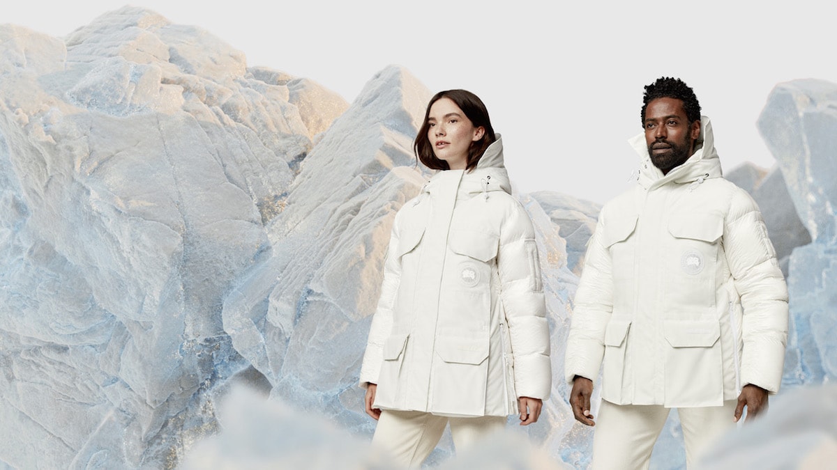 Una campagna di Canada goose