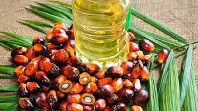 L'Indonesia blocca le esportazioni di olio di palma: prezzi alle stelle