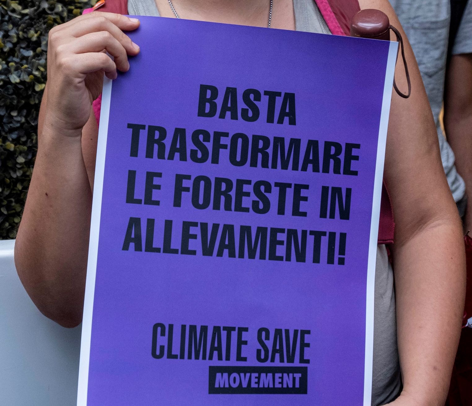 Le ricette surreali di Davos per impedire la deforestazione