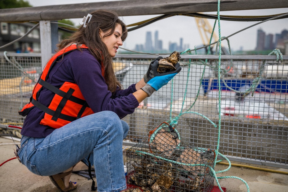 Un momento del progetto di Woolrich outdoor foundation e Billion oyster project (courtesy Woolrich)