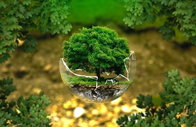Tutte le iniziative di sostenibilità per l’ambiente di BMS
