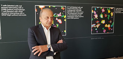 ‘Preserving the brain’ forum di Prada sulle malattie neurodegenerative