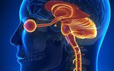 Arriva in Italia satralizumab di Roche per la neuromielite ottica