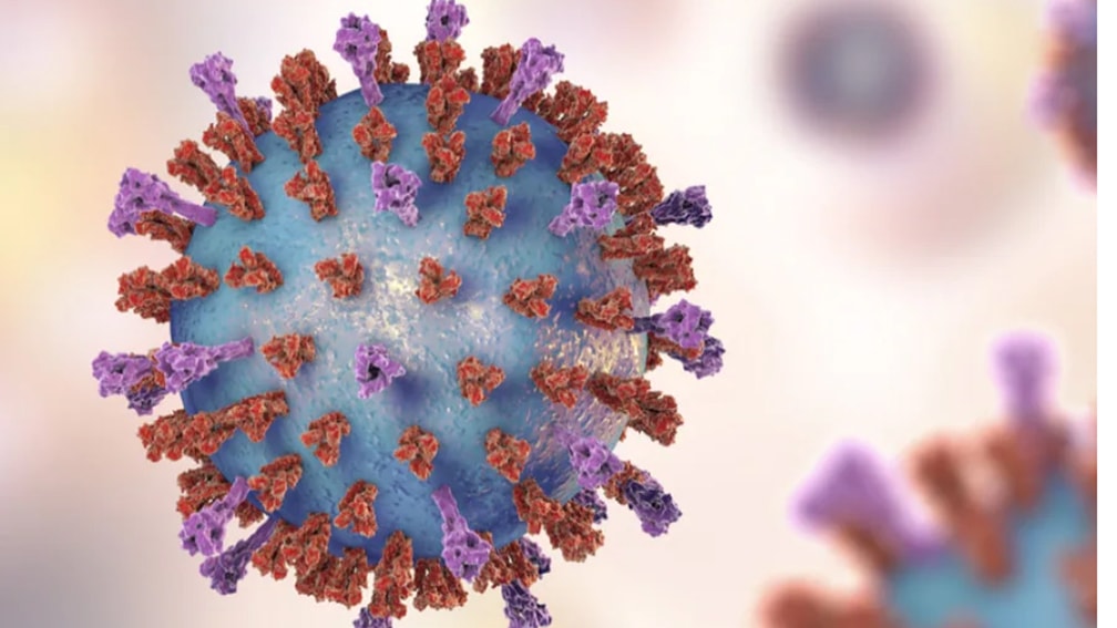 Virus respiratorio sinciziale tra le principali cause di polmonite