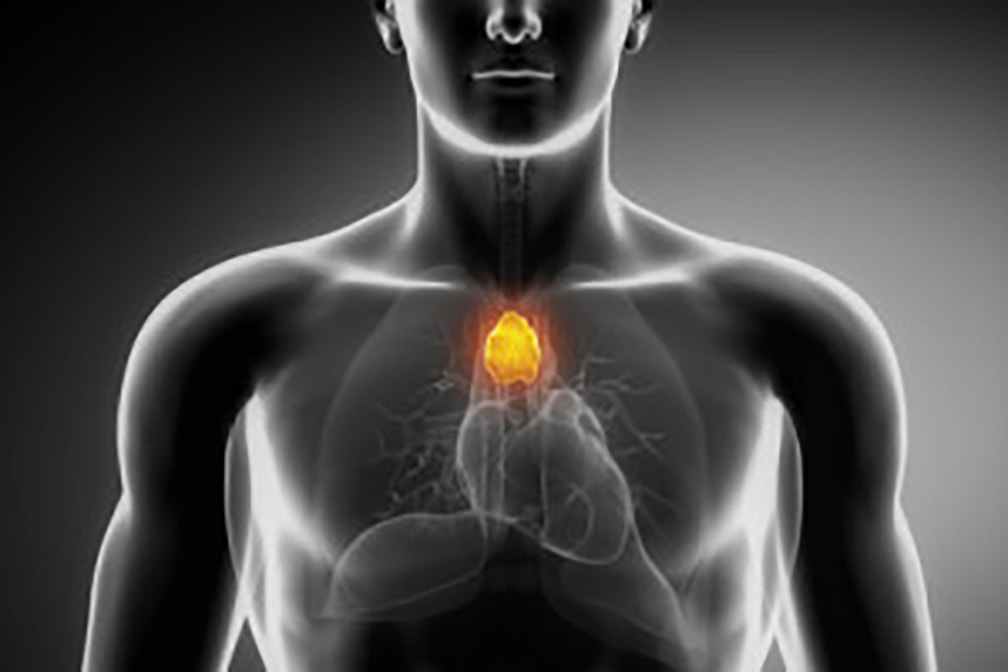 Miastenia Gravis Generalizzata: novità per eculizumab di Alexion