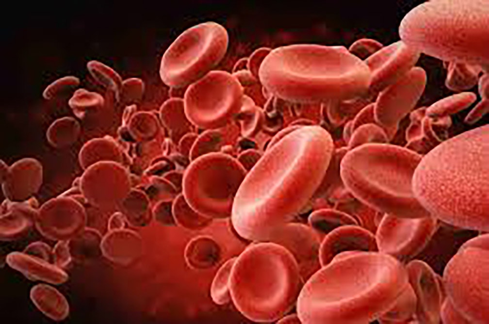 Sutimlimab approvato in Europa per la cura dell’anemia emolitica