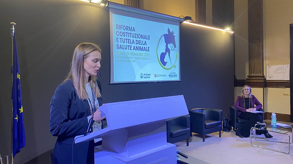 Finalmente la tutela dell'ambiente entra in costituzione