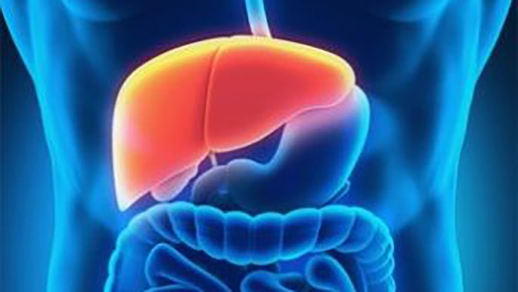 In Italia ogni anno oltre 5.400 nuovi casi di colangiocarcinoma