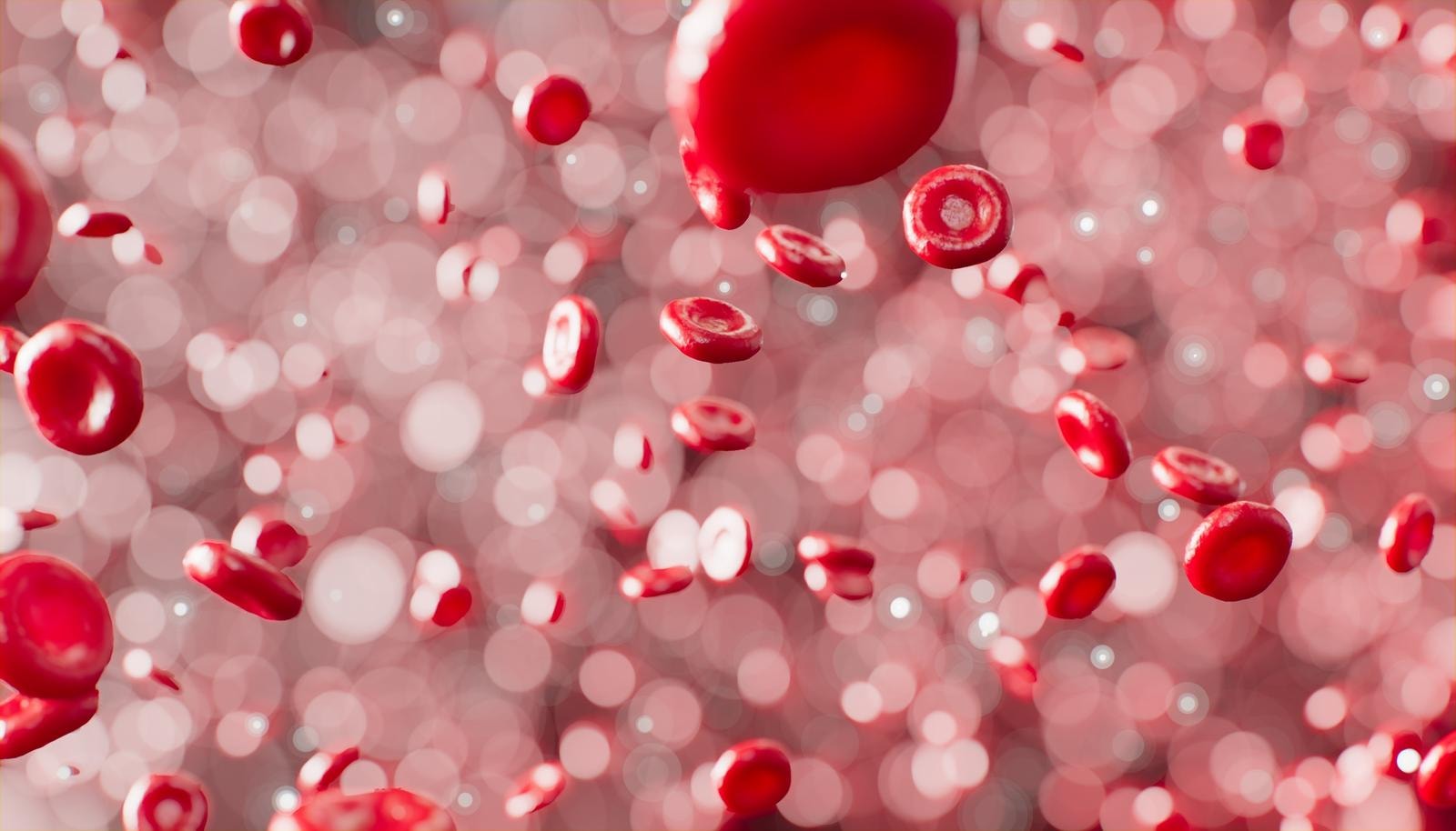 Terapie cellulari efficaci contro i tumori del sangue