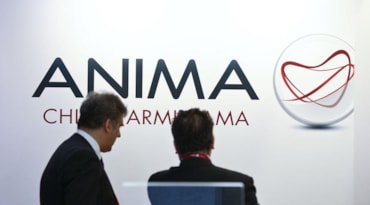 Anima, raccolta cauta a gennaio