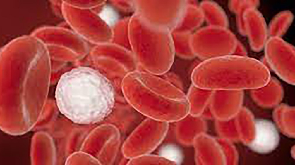 La prima terapia a cellule T allogeniche sarà lanciata da Pierre Fabre