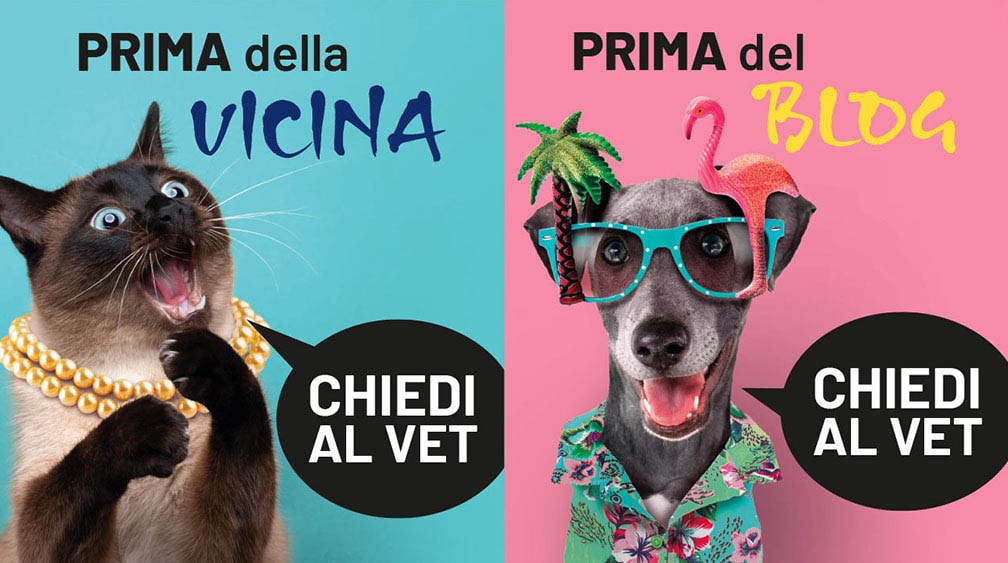 Nelle case italiane ci sono oltre 16 milioni di cani e gatti