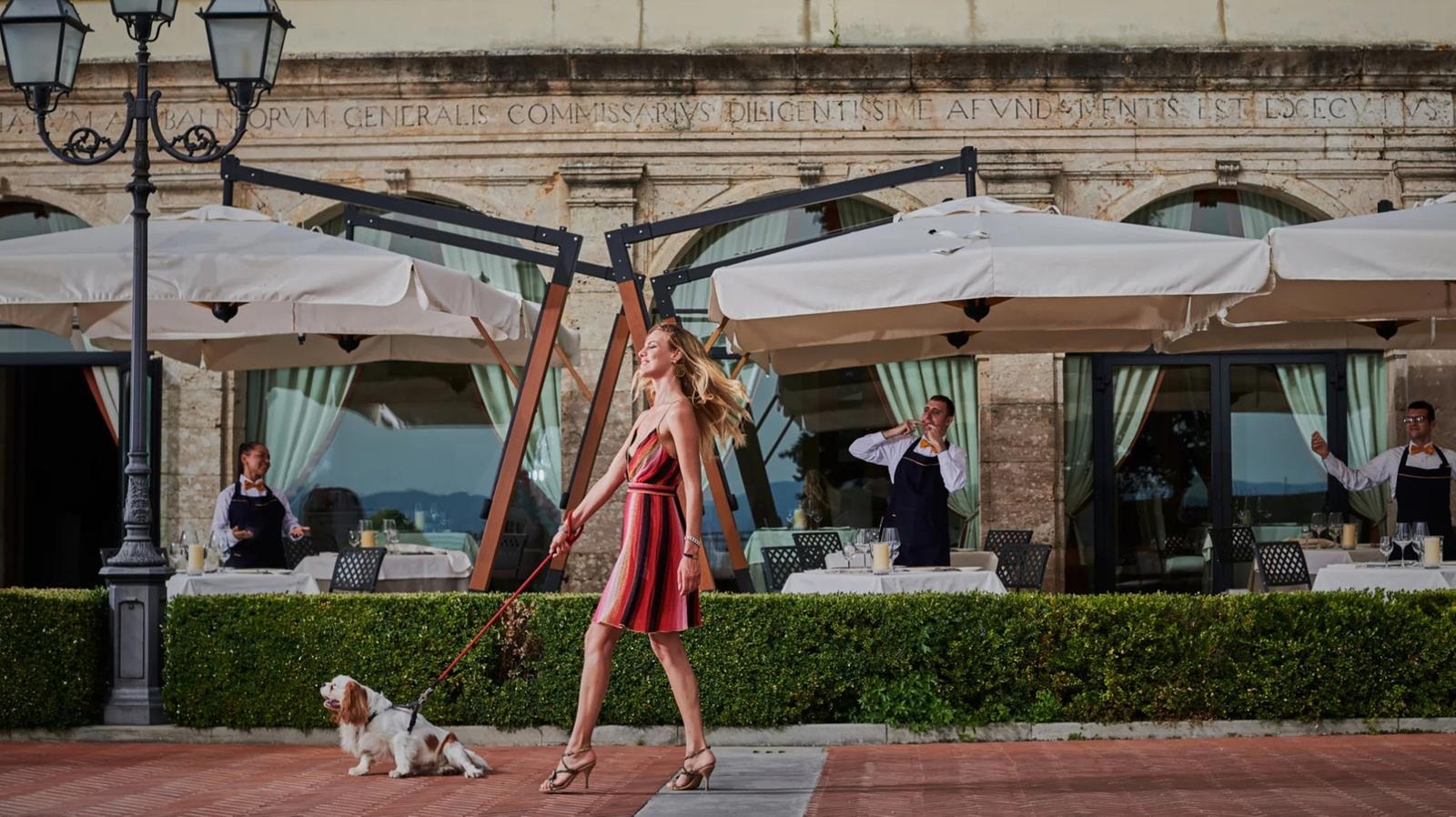 Vacanze a cinque stelle con il proprio cane: da Nord a Sud Italia, ecco che cosa offrono gli hotel pet-friendly