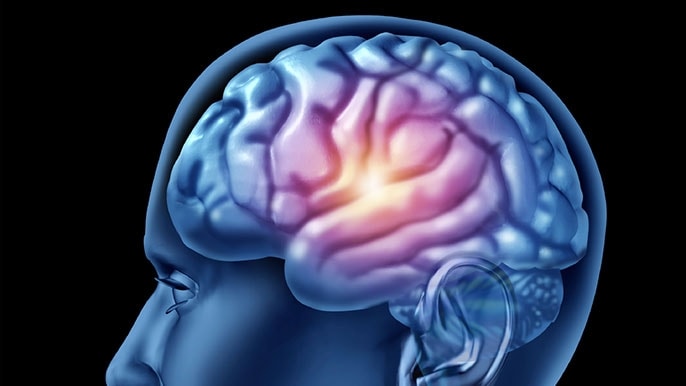 Una molecola contro i gliomi cerebrali