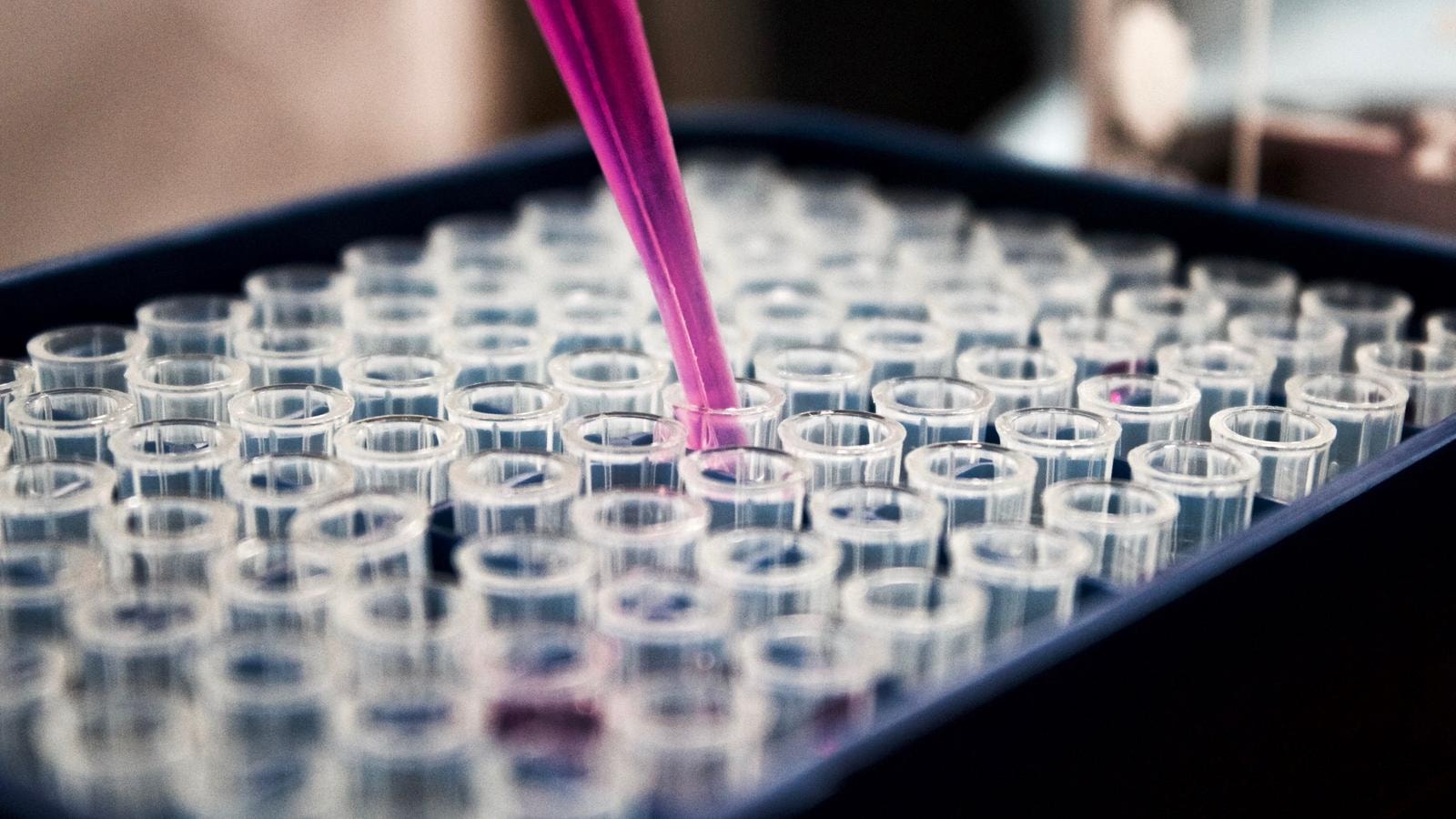Nuove armi per i tumori testa-collo