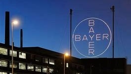 Da Bayer ad Adidas, da Volkswagen a Basf: ecco chi &egrave; in crisi e chi no tra le big tedesche