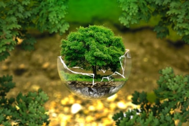Nuovo certificato legato a indice sulla biodiversità da Societe Generale