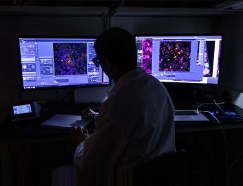 Nuove speranze per trovare farmaci antidolorifici che non portino all’overdose