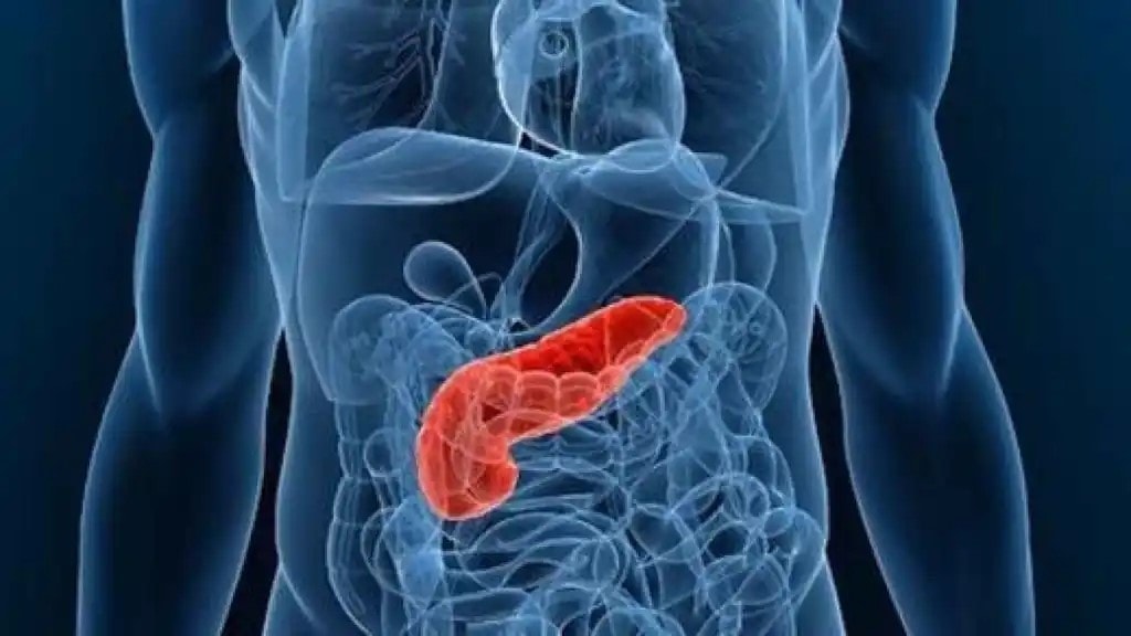 Un nuovo bersaglio per combattere il tumore al pancreas