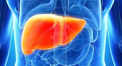 L’immunoterapia contro l’epatite B