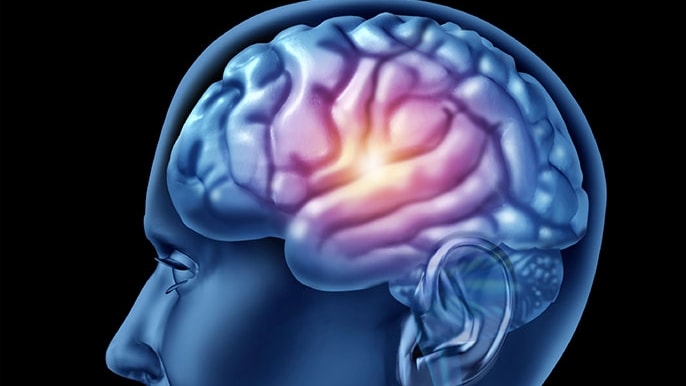 Un integratore per il benessere del cervello