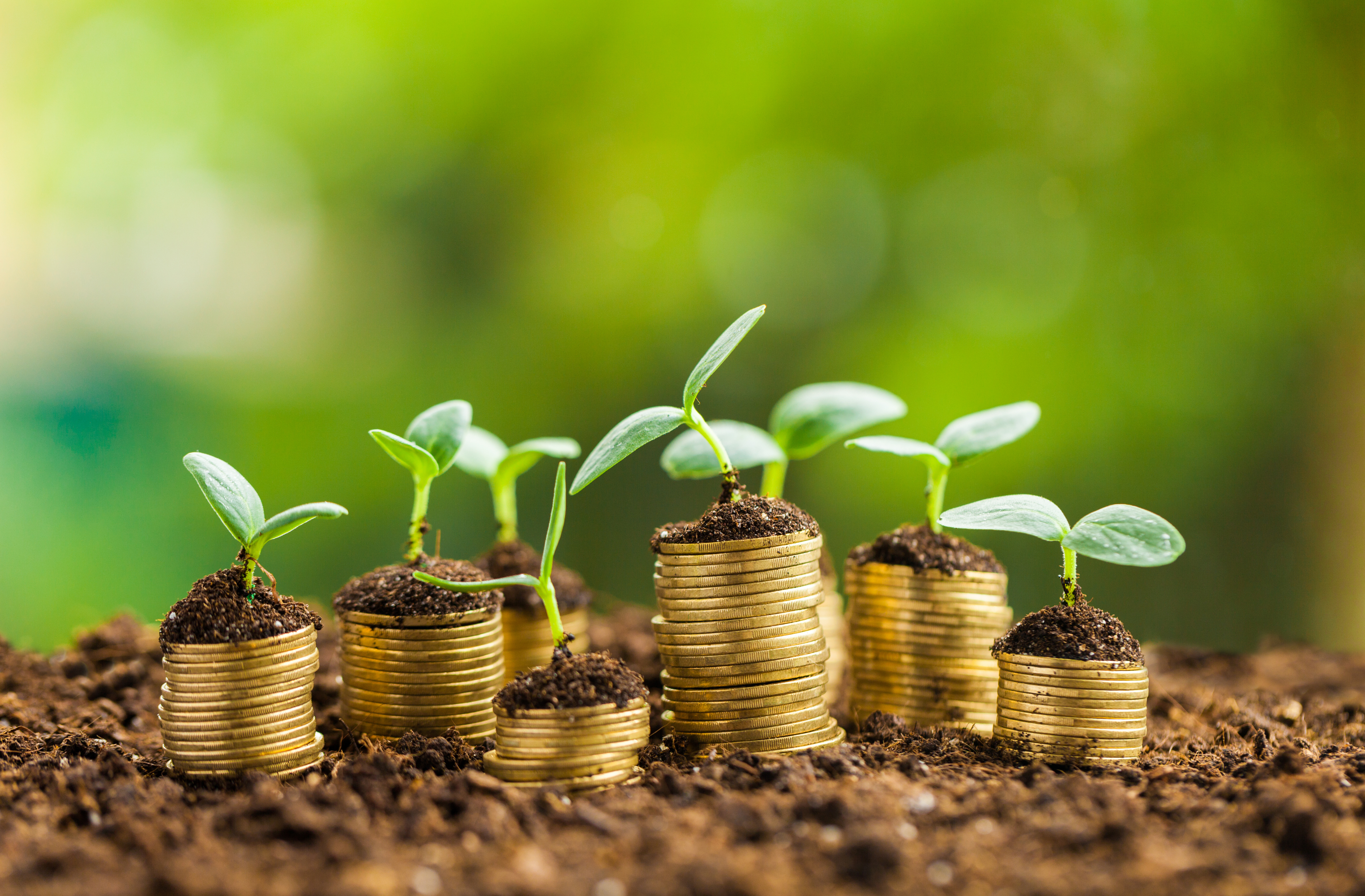 GS Asset Management lancia un Etf globale dedicato ai green bond