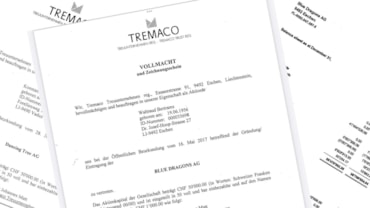Le carte delle società di Elkann, Blue Dragons e Dancing Tree, con sede in una fiduciaria del Liechtenstein