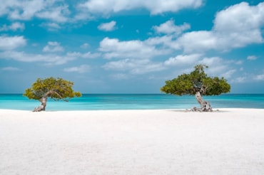 Aruba: l’Isola della Felicità dove splende sempre il soleAruba: l’Isola della Felicità dove splende sempre il sole