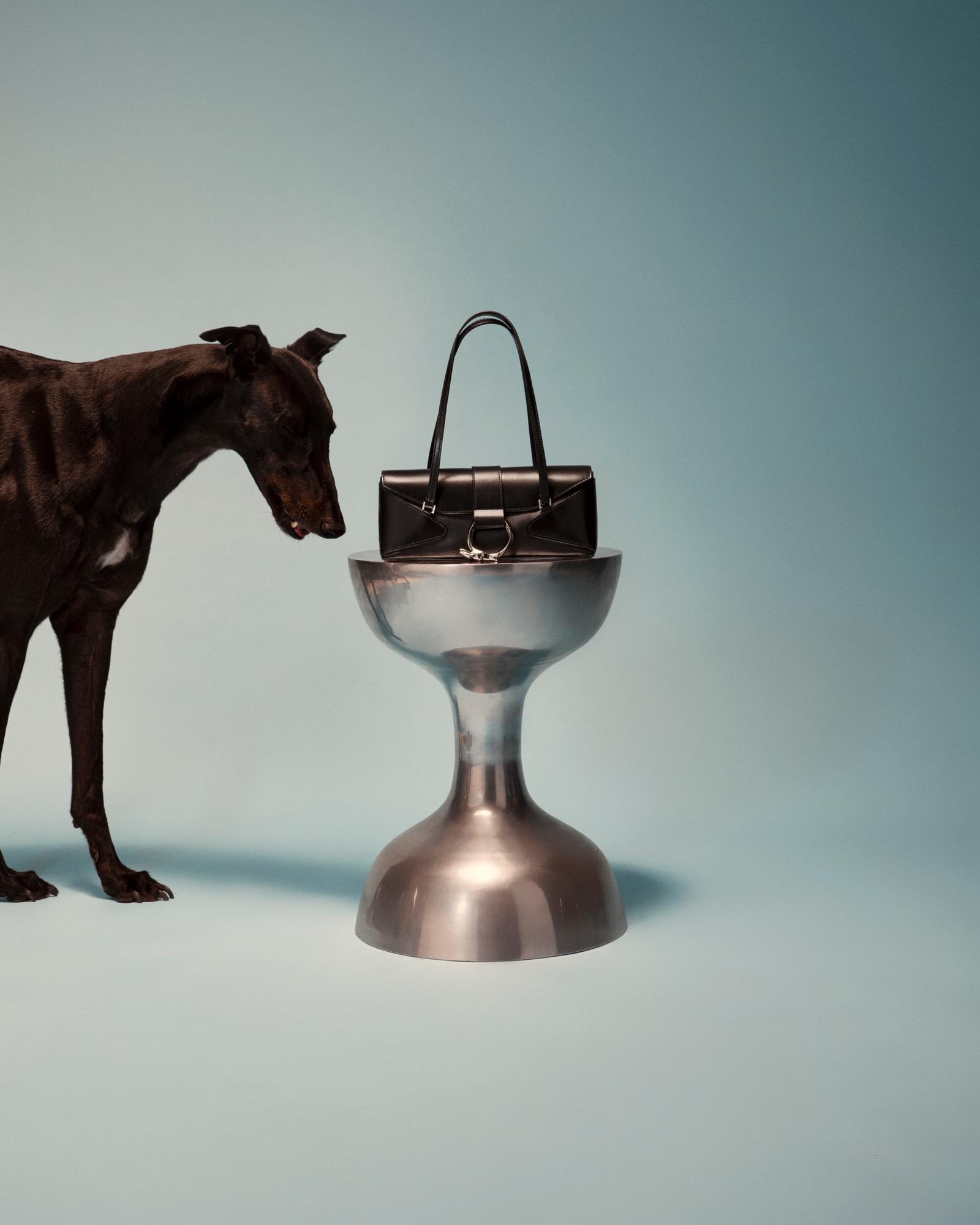 Un'immagine della fall-winter 2023 di Trussardi (ph Alberto Mora, courtesy Trussardi)
