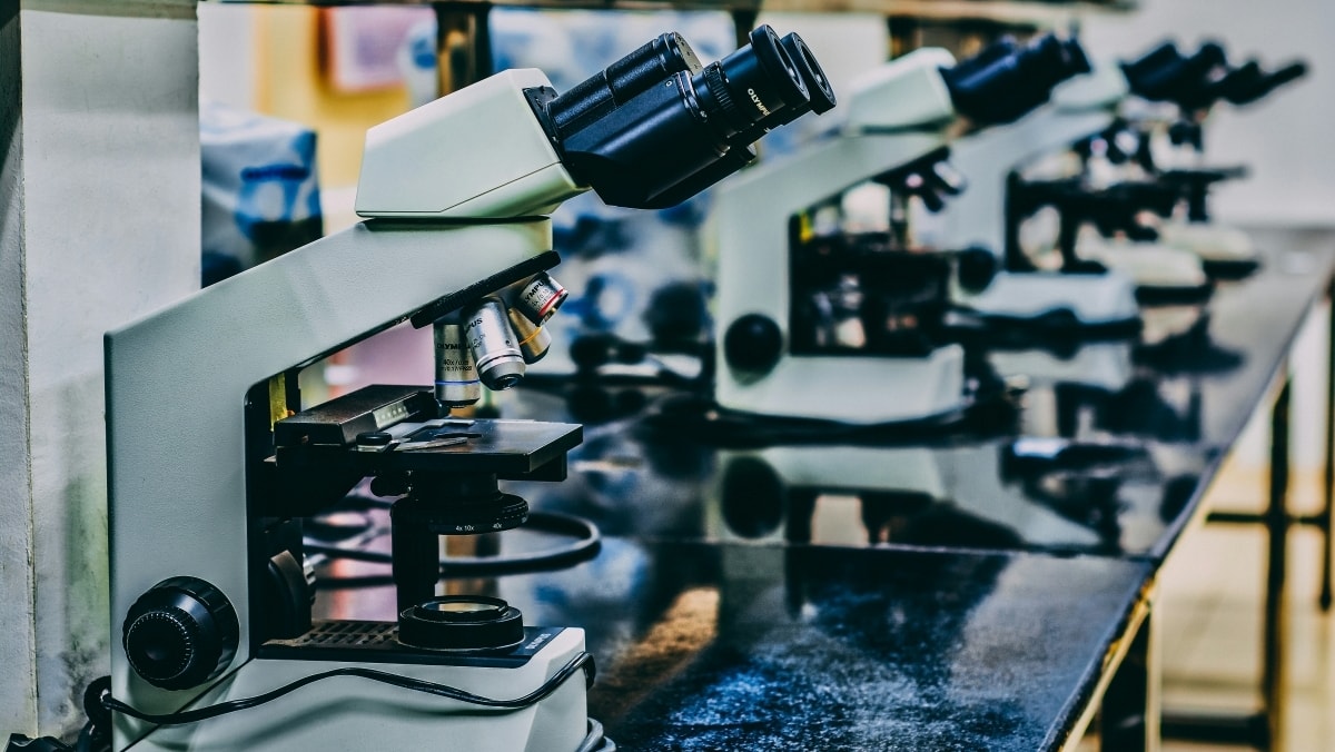 Blinatumomab contro le cellule ribelli nell’artrite reumatoide