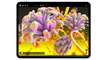 Apple iPad Air e iPad Pro, display da 11 e 13 pollici e processori pronti per la rivoluzione AIApple iPad Air e iPad Pro, display da 11 e 13 pollici e processori pronti per la rivoluzione AIApple iPad Air e iPad Pro, display da 11 e 13 pollici e processori pronti per la rivoluzione AI